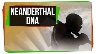 What Neanderthal DNA Is Doing To Your Genome