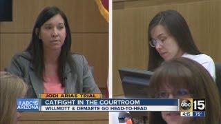 Catfight in the courtroom