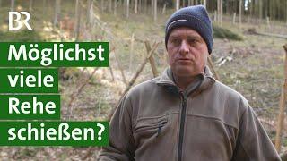 Jäger schießt Rehwild: Gesunder Wald ohne Zaun | Wald schützen | Jagd | Unser Land | BR