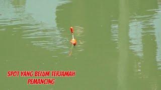 Mancing di spot pemukiman warga,dengan hasil ikan yang melimpah