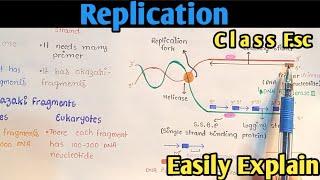 Replication | Synthesis Of DNA | Class 12 Biology