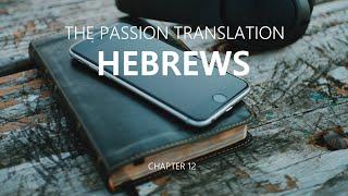Hebrews|12|TPT