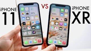 iPhone 11 Vs iPhone XR In 2024! (Comparison) (Review)