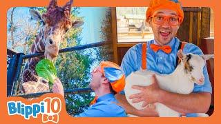 Blippi's Best Animal Moments: Top 10 Adventures! - Blippi's Top 10 | Educational Videos for Kids