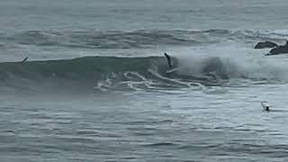 Fun line with a twin set of the Megawatts on an 8' Wavestorm