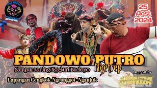 Live Jaranan PANDOWO PUTRO Ngetrep Ft MANDA Audio di lapangan cengkok ngronggot nganjuk