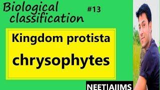 'Lec.13 Biological classification (Hindi) | Chrysophytes | NEET|AIIMS