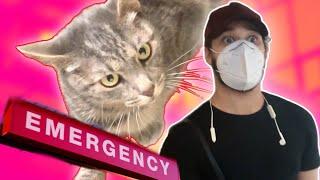 How My Cat Gave Me C-19 In 2023 & Moving During The Worst Of It | SUBSCRIBE PLEASE