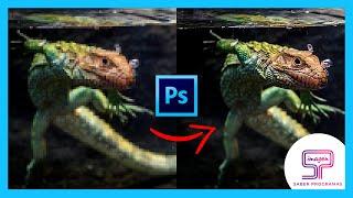  Cómo MEJORAR CALIDAD de IMAGEN en Photoshop 