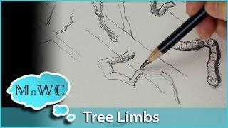 How to Draw & Paint Better Tree Branches