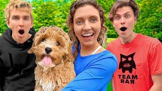 Surprising SHARER FAMILY with my NEW PUPPY!!!