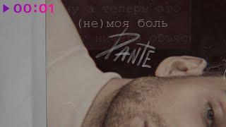 DANTE - Не моя боль | Official Audio | 2022