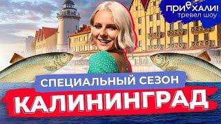 КАЛИНИНГРАД | Остров Канта, Куршская Коса, активный отдых на воде и кулинарные традиции | Приехали!