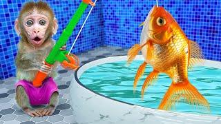 KiKi Monkey go fishing in bathtub in the toilet and eat ice cream from truck | KUDO ANIMAL KIKI