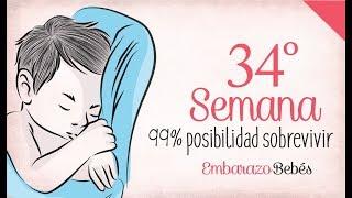 SEMANA 34 de #Embarazo | 8º Mes | Semana a semana