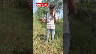 power of love ️ Prachu #shorts #prachu007 #trending #tiktok #youtubeshorts #funny #comedy