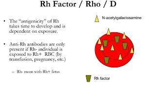 HDN-hemolytic disease of the newborn