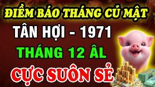 Tử Vi Tháng 12 Âm Lịch, Tuổi Tân Hợi 1971: Quẳng gánh Lo Toan, Cuộc Sống Suôn Sẻ, Vững Vàng Đón Tết