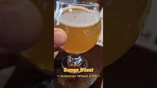 Hanger 24 Brewing Irvine #beer #craftbeerreview #craftbeer #craftbeertube