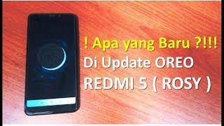 What's New Oreo Redmi 5 Rosy