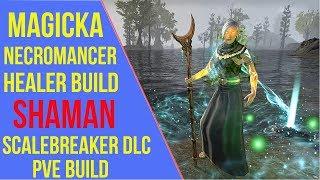 ESO - Magicka Necromancer Healer PVE Build "Shaman" | Scalebreaker