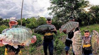 Pescaria de Tilápias Gigantes - Monstros do rio, cumprindo a promessa que Fizemos para a sogra!