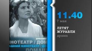 Летят журавли - 28 млн зрителей в СССР и  5 млн во Франции!