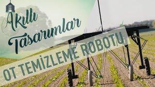 Tarladan Yabani Ot Temizleme Robotu