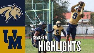 Pumas FES-A vs No. 4 Pumas UNAM (Highlights) | Semana 9 | Liga Mayor ONEFA 2024.