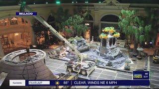 The new fall conservatory at the Bellagio Conservatory is here