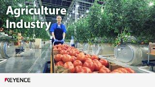 Our Role - Case 08: Agriculture Industry | KEYENCE