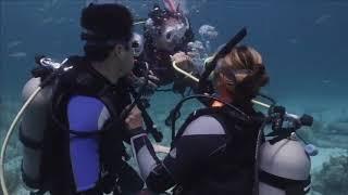 Scuba School - PADI DSD