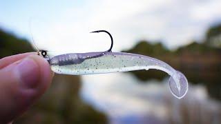 How To Start Soft Plastics Fishing (Beginners Guide)