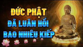 Đức Phật đã Luân Hồi Bao Nhiêu Kiếp - Bí Mật về Luân Hồi