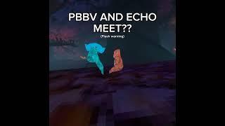 PBBV & ECHO!? #pbbv #echo #gtag #gorillatag #gtagghost #vr #virtualreality @Don_wholeo #metaquest2 #tag