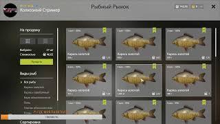 ТЕСТ ПРИКОРМА НА УГРЯ!!! Russian Fishing 4