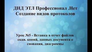 Урок №5 - Вставка в отчет файлов скан. копий, данных документа основания, диаграммы