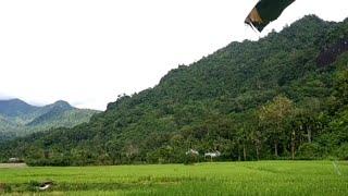 My Village Hill Rice Field and Rifer