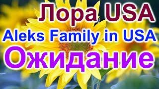 Лора USA и Aleks Family in USA. Ожидание