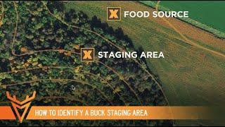 How to Identify a Buck Staging Area | S1E08 | Wired to Hunt