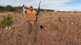 7 December 2024 Rabbit Hunt