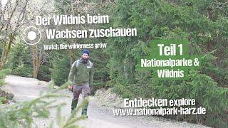 Nationalpark Harz kommt nach Hause! Teil1: Nationalparke und Wildnis