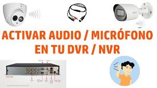 Cómo activar audio en cámaras con micrófono DVR Dahua