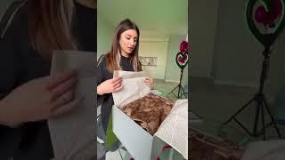 panarinkaa ВЫЛОЖИЛ НОВЫЙ ТИКТОК | tik tok |#TikTok​​​ #FunnyVideo​​​ #WtfTikTok​​​ #TopVideo​​​