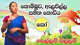 සම්පූර්ණ පිල්ලම් පාඩම අභ්‍යාස සහිතව විනාඩි 5න් ඉගෙන ගමු.