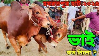 Bhai Koto Nilo? Hazratpur Paragram Cattle Market 2024 Qurbani Cow Price In Bangladesh Part -1