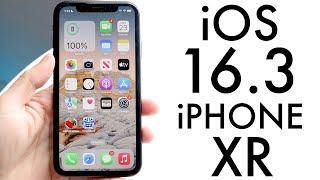 iOS 16.3 On iPhone XR! (Review)