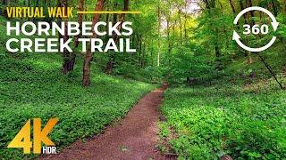 8K Virtual Hike on Hornbecks Creek Trail with Real Sounds - Nature of Pennsylvania in 360° VR