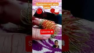 Rambutan asli atau palsu !! #funny #quiz #fruit #dubbing #trending #shorts