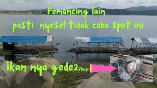 MANCING JATILUHUR TERBARU || SPOT sepi ikan nya gede-gede